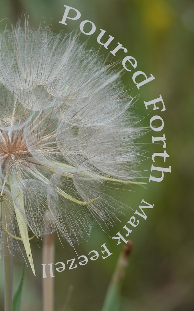 Poured Forth cover
